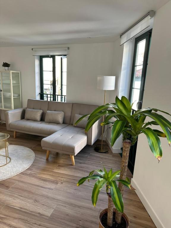 Apartamentos Urbanin II Plaza De San Pedro كوذِييرو المظهر الخارجي الصورة